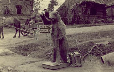 Прикрепленное изображение: сканирование0004.jpg